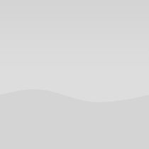 Světle šedá lesk 258